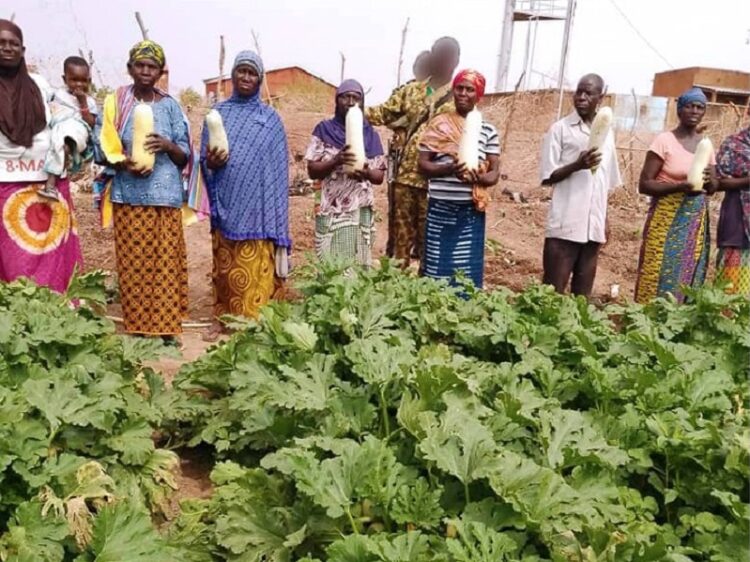 Les femmes de Toeni ont récolté des légumes